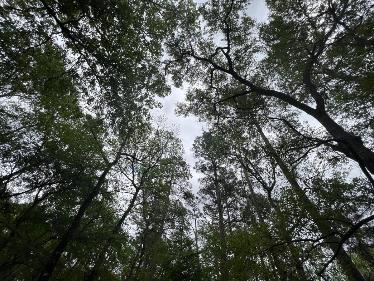2 Bdrm Treehouse Hideout- Lake Conroe With Boat Ramp Montgomery Zewnętrze zdjęcie