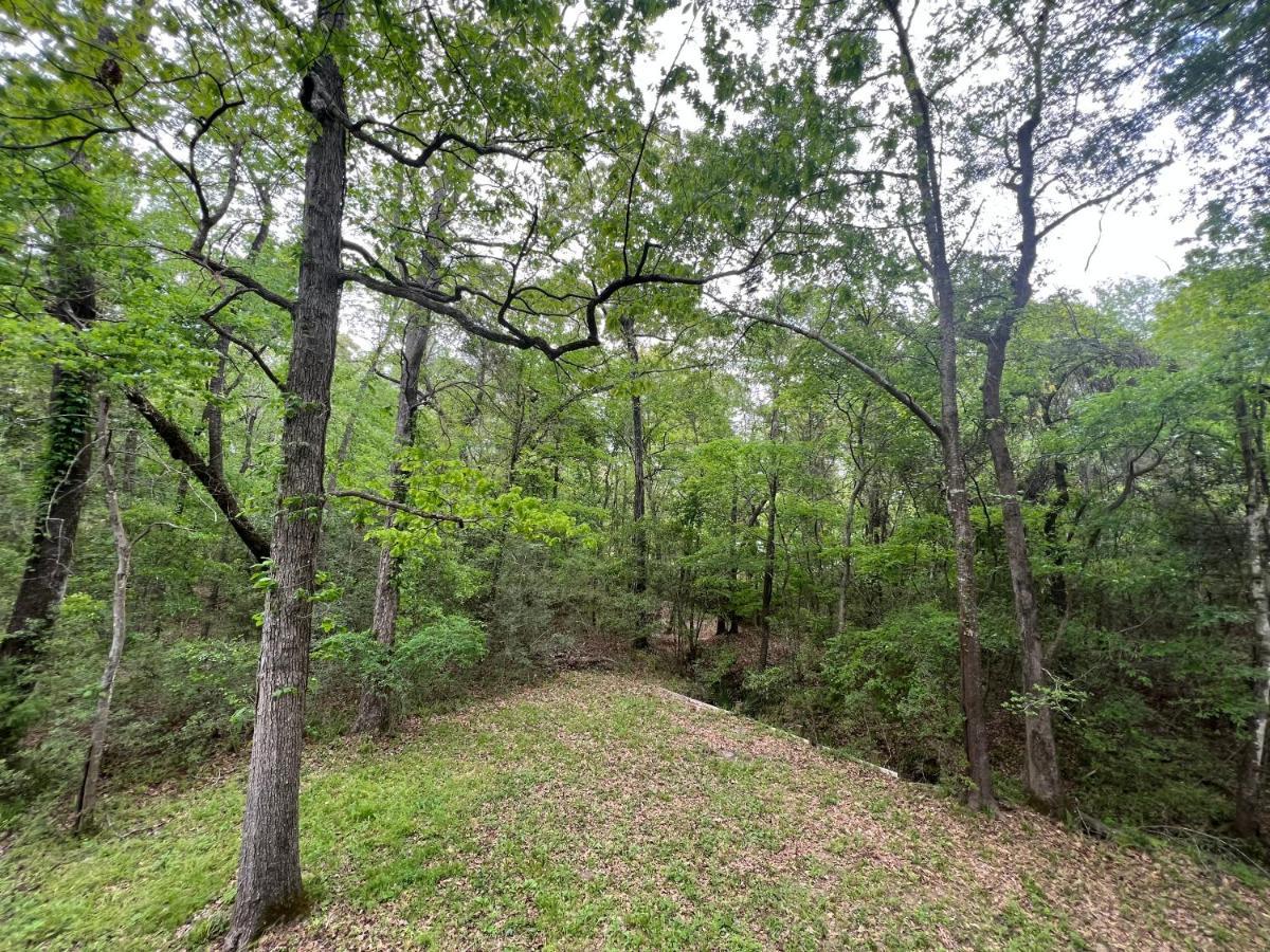 2 Bdrm Treehouse Hideout- Lake Conroe With Boat Ramp Montgomery Zewnętrze zdjęcie